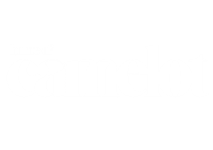 home of camelot modern